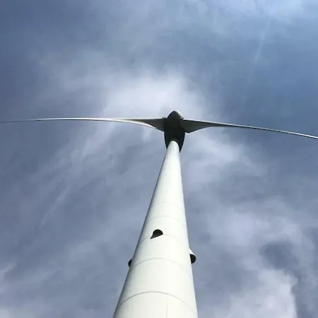 Quinchoso Dos Bentos Κατάλυμα σε φάρμα