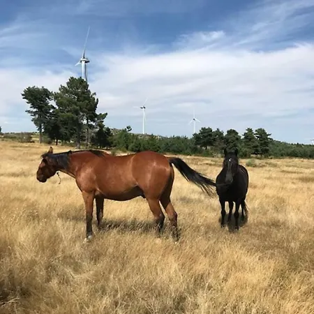 Quinchoso Dos Bentos * Вила-Пока-ди-Агиар