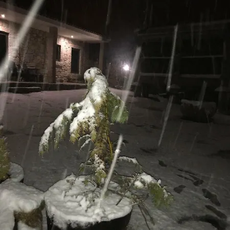 Quinchoso Dos Bentos Κατάλυμα σε φάρμα *