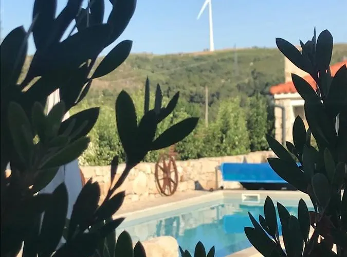 Quinchoso Dos Bentos Κατάλυμα σε φάρμα