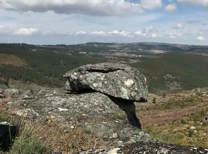 مزرعة للإقامة Quinchoso Dos Bentos