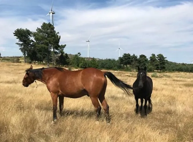 Quinchoso Dos Bentos * Vila Pouca de Aguiar