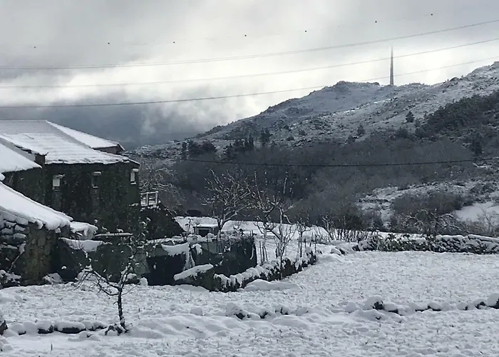 Farm stay Quinchoso Dos Bentos *