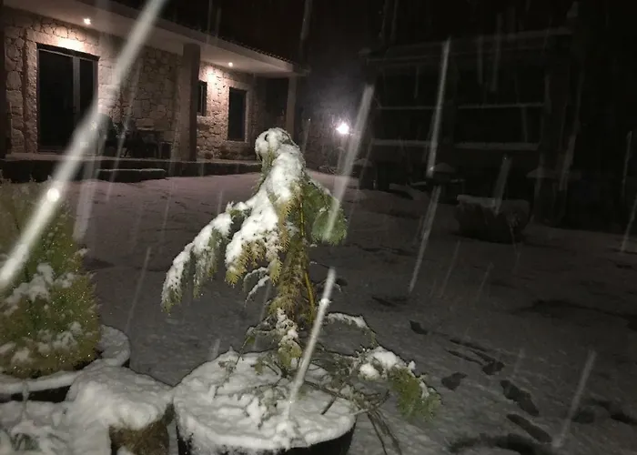 Quinchoso Dos Bentos Gospodarstwo agroturystyczne *